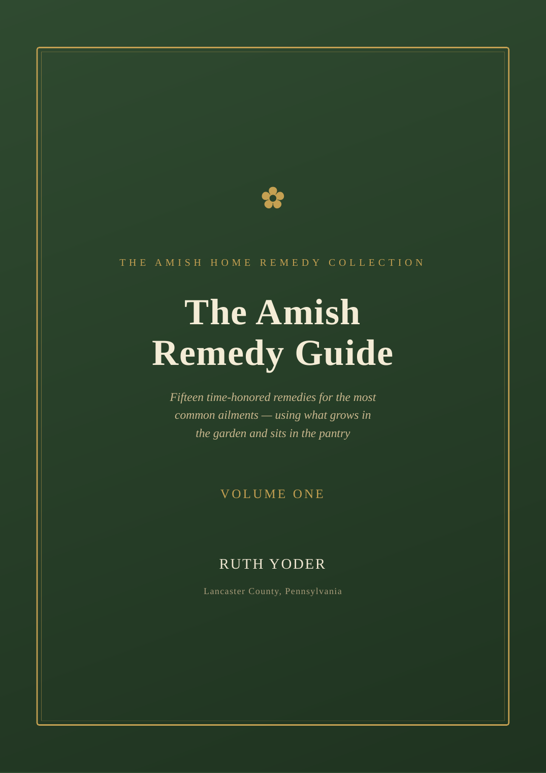 The Amish Remedy Guide cover